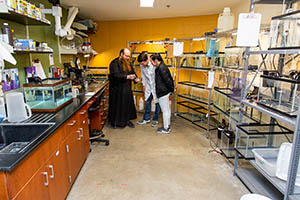 Aquaculture invertebrate lab