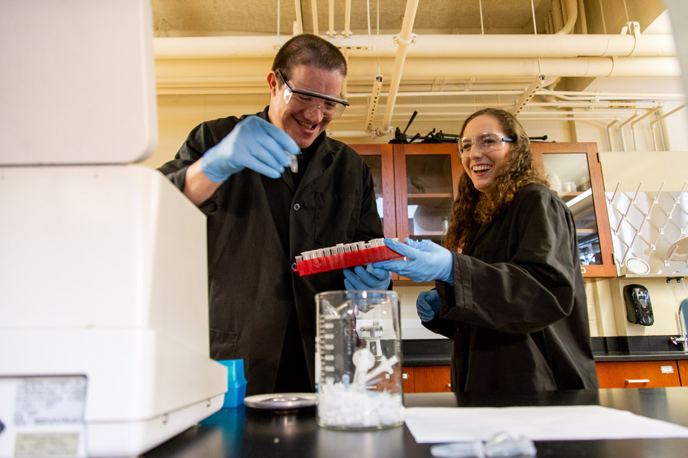 Students working in the lab 