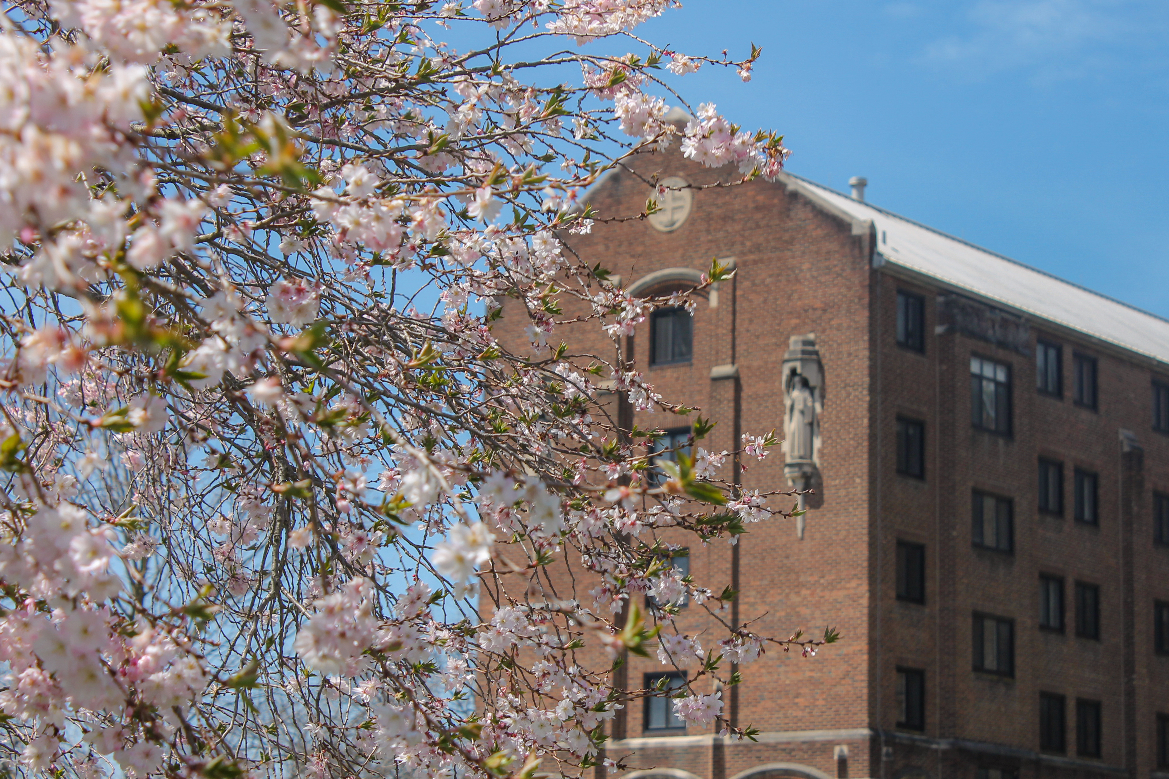 Dean, Dr. Michael Urick, announces newly appointed Council of Advisors for McKenna School