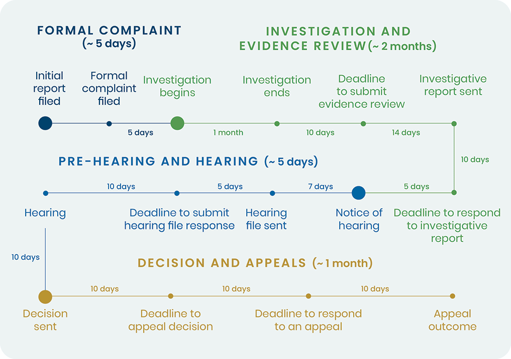 reporting timeline