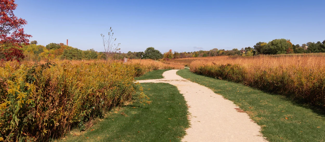 Gravel walking trail at the Winnie Palmer Nature Reserve