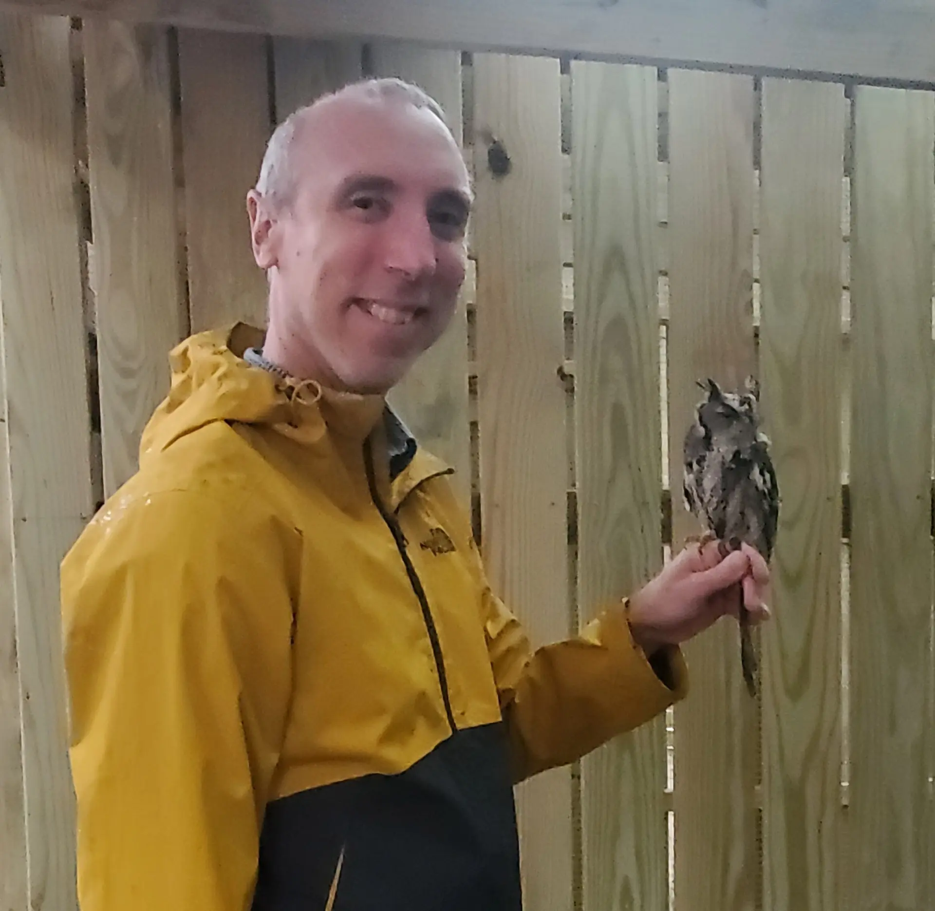 A man in a yellow rain jacket holding a small owl on his arm, set against a wooden background.