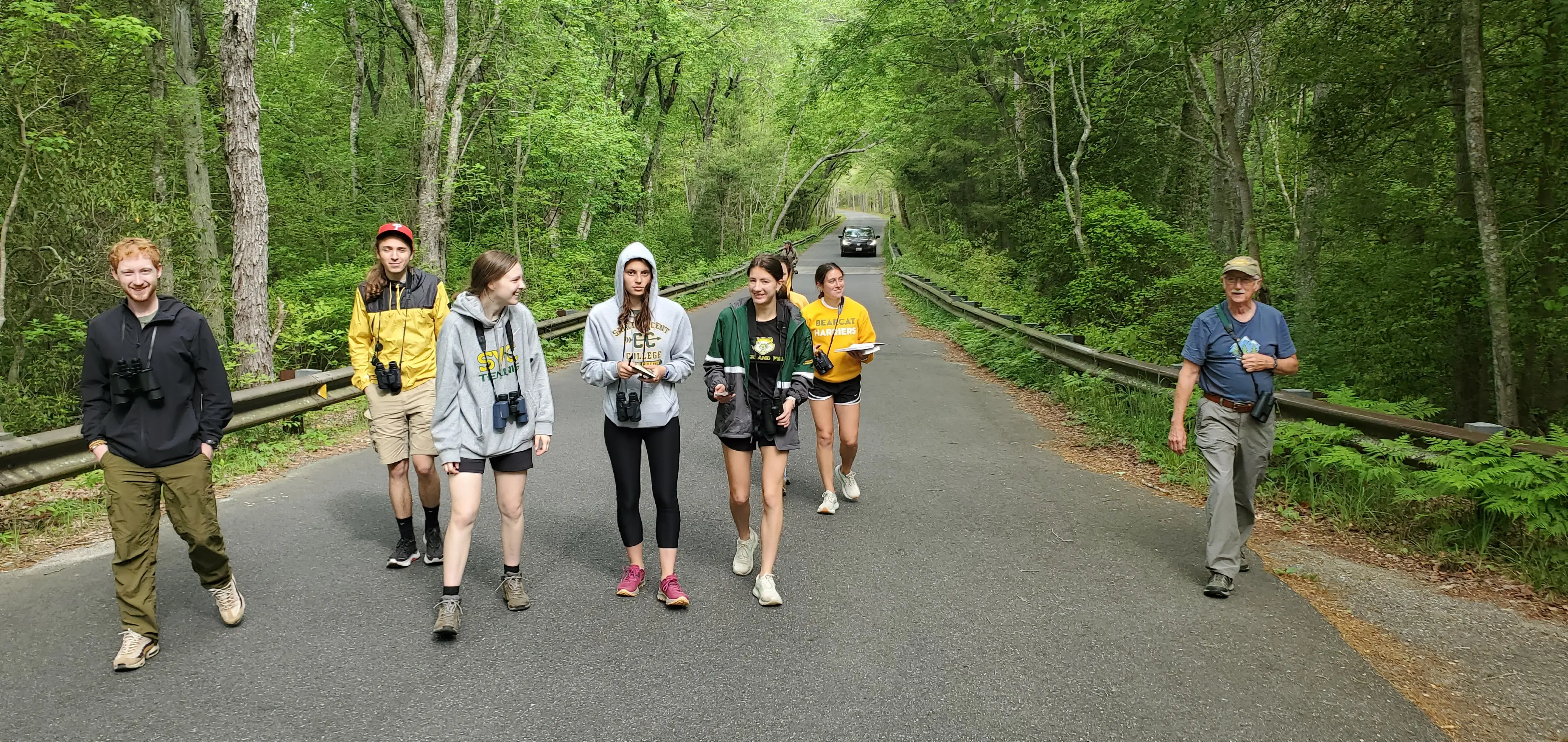 A group of seven people walking on a tree-lined road, enjoying a nature outing.