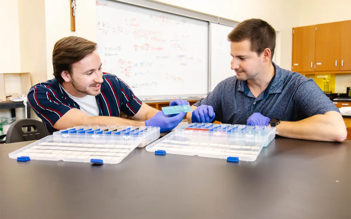 Two male scientists in a lab setting collaborate while examining samples in a clear plastic container, wearing gloves and discussing their work.