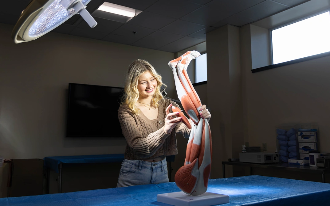 A student examines a detailed anatomical model of a human leg in a classroom setting.